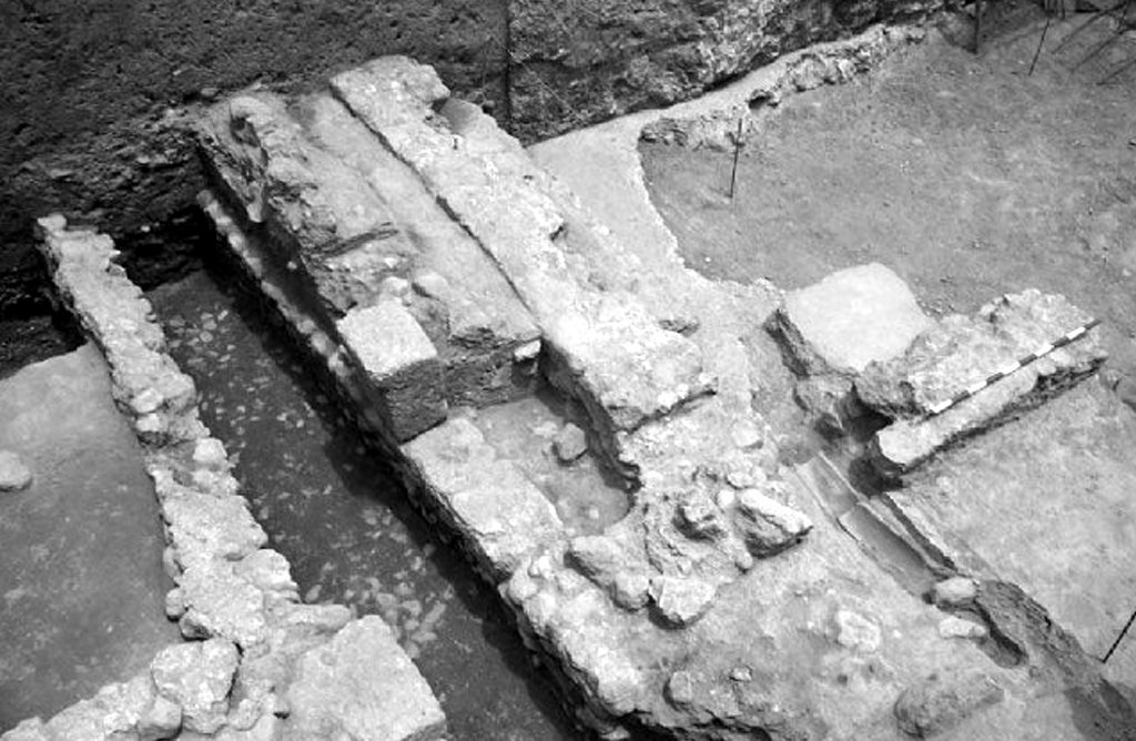 La Sanidad y el Patrimonio Hist�rico, en el foco de las propuestas de Ganar Totana al pleno